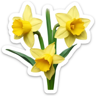 daffodil sticker