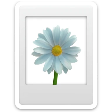 white Polaroid of a flower sticker