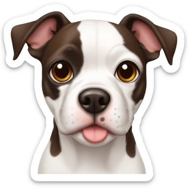 dog white with dark brown spot over right eye Boston terrier aussie doodje mix sticker