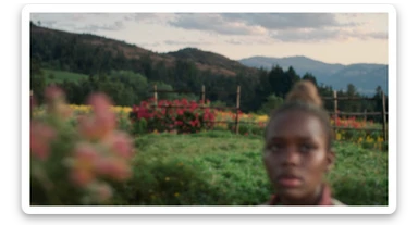 A portrait of a person in the foreground, blurred plants in the foreground, a wooden fence and colorfull flowers in the midground, rolling hills in the background, cinematic depth of field, layered composition, natural lighting sticker