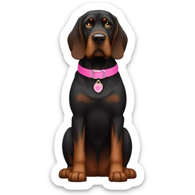 Black bloodhound standing with pink collar sticker