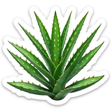 thick long aloe vera leaf deep green with light spots or stripes gently toothed edges slightly curved tapered smooth waxy surface no pot no cut soft lighting subtle shadows emoji scale sticker