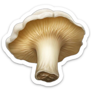 Oyster mushrooms sticker