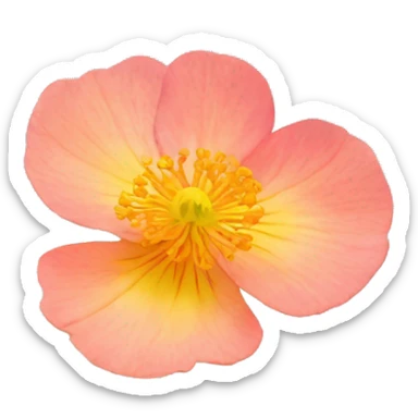 Bokeh Anemone Rose yarrow anemone nasturtium iris flower sticker