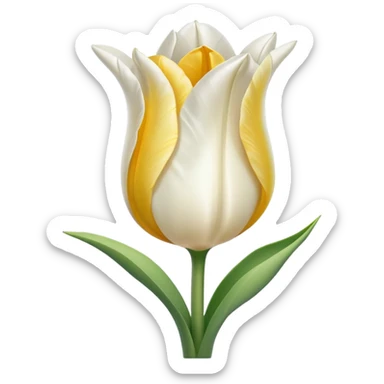 white tulipe sticker