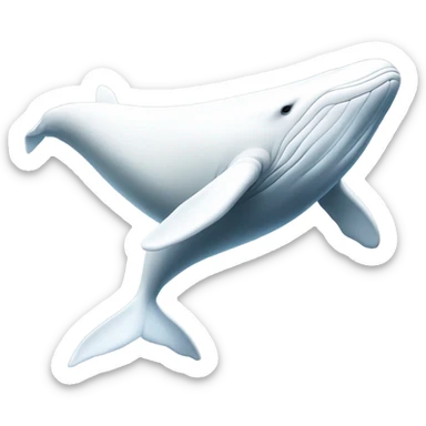 white whale , underside sticker