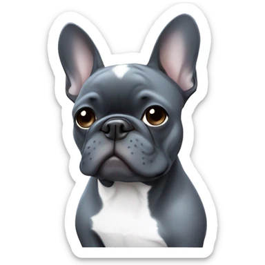 Dark grey French bulldog with white chest and blue eyes sticker