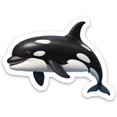 killer whale sticker