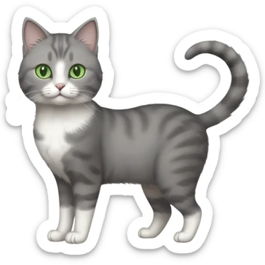 full body view of beautiful female grey cat with green eyes, white paws and white chest sticker