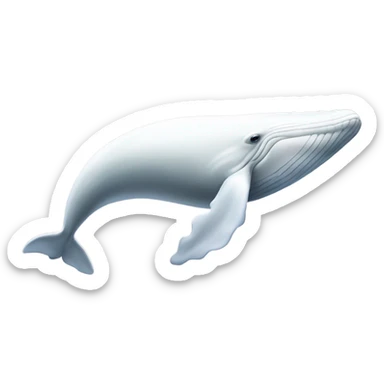 white whale , underside sticker