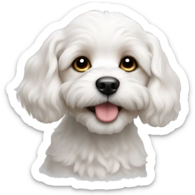 White Cavachon puppy  sticker