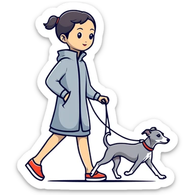 Pretty Asian girl walking a pure solid grey Italian greyhound with absolutely no white markings anywhere on the dog sticker
