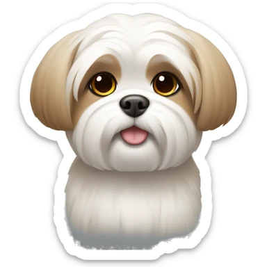 cute shi tzu, white face, light brown around the eyes sticker