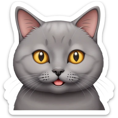 British short-hair cat with a silly face sticker