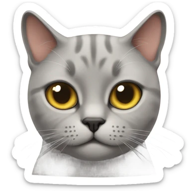British cat with close eye  sticker