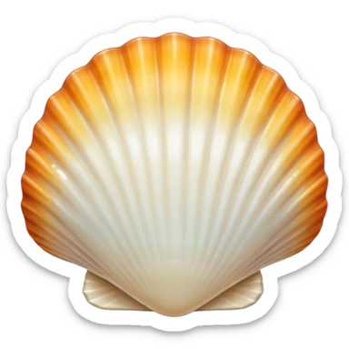 pretty white beach shell sticker