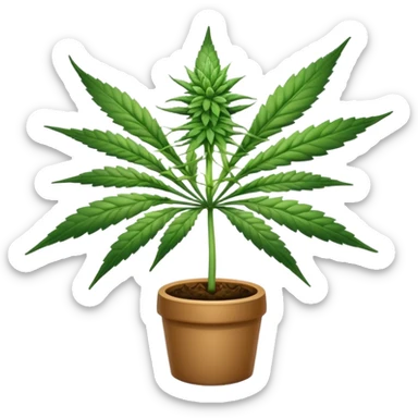 Cannabis sticker