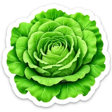 Cinematic crisp green lettuce, fresh and leafy, slightly curled edges, detailed textures, vibrant and refreshing, ultra-realistic and inviting. sticker