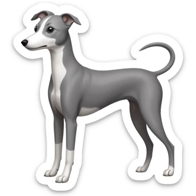 Dark grey and white whippet sticker