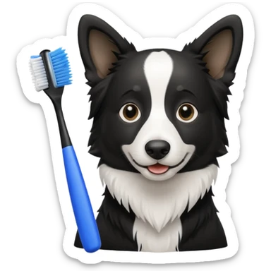 border collie black and white holding a blue toothbrush sticker