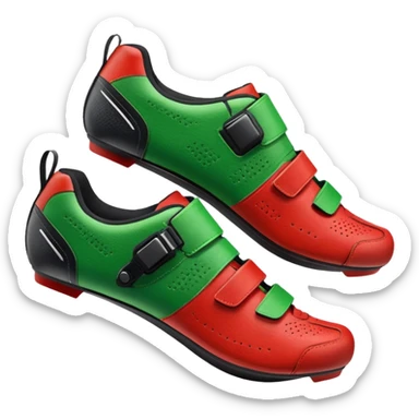 indoor cycling shoe, both of them with christmas color sticker