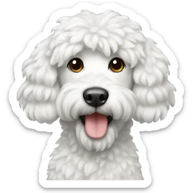 Caniche blanco  sticker