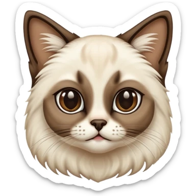 
Siamese cat: long hair fur sticker