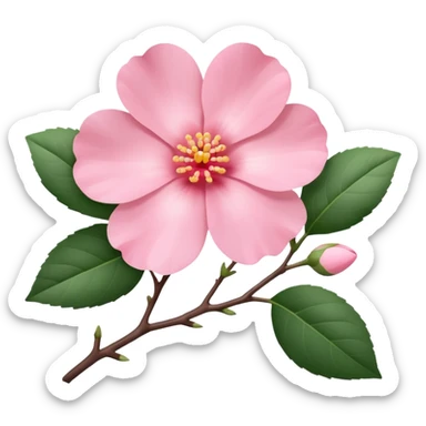 camélia pink with branch  sticker