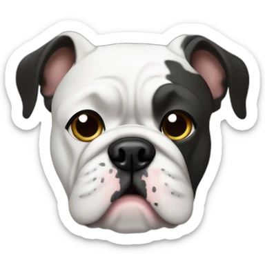 Mestizo bulldog francés blanco con lunares negros sticker