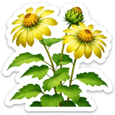 jerusalem antichoke plant sticker