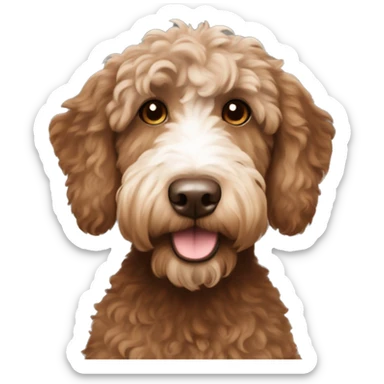 australian labradoodle with a brown body and white face you can seee the full brown body and white face sticker