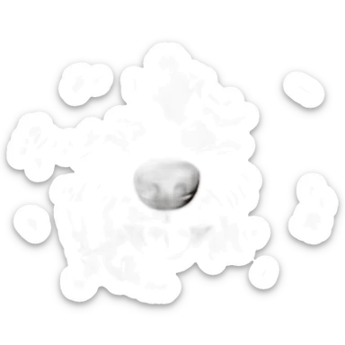 scruffy brown poodle sticker