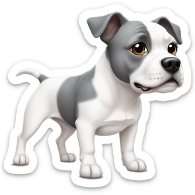 Staffie chien une oreille blanc et l’autre gris  sticker