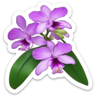 Hong Kong orchid sticker