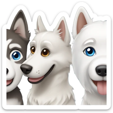 3dog : One. Grey Husky with blue eyes, a beige HUSKY with brown eyes and a white Westies sticker