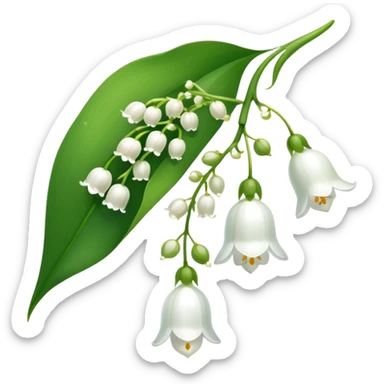 Elegant lily of the valley flower with delicate white bell-shaped blooms hanging from green stem and bright green leaves sticker