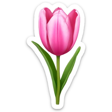 pink tulip sticker