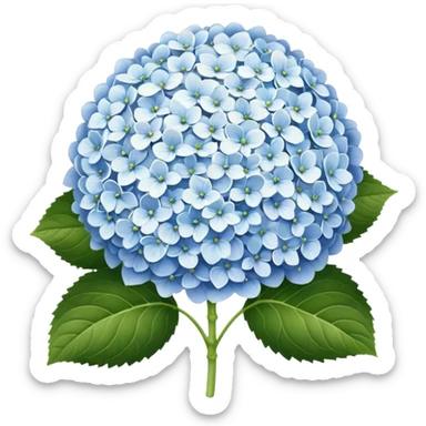 hydrangea white sticker