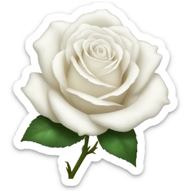 white rose sticker