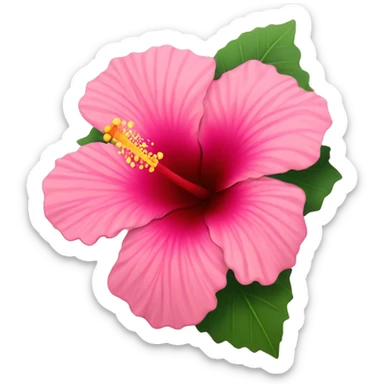 Hibiscus flower that’s pink sticker