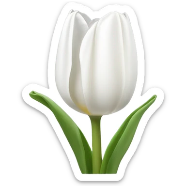 White tulipánov sticker