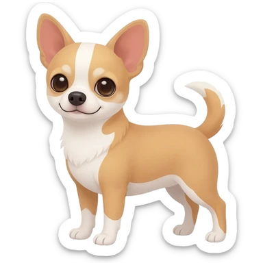 Chihuahua beige et blanc au ventre sticker