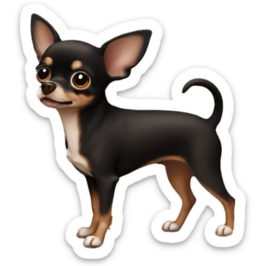 Solid brown black chihuahua sticker