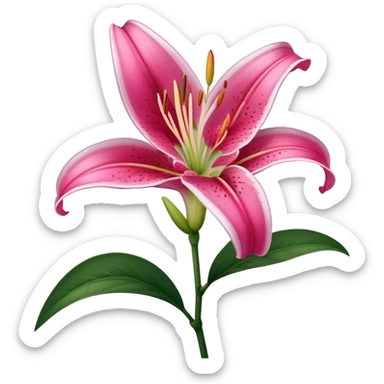 single Deep Pink Oriental Lily with White Edge, straight stem sticker