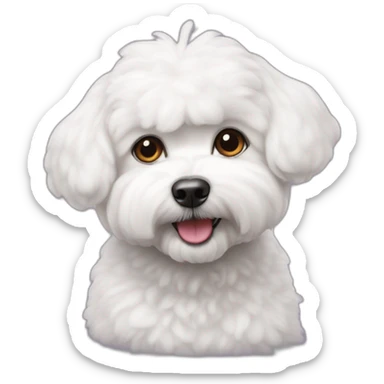 bichon habanero no maltesse sticker