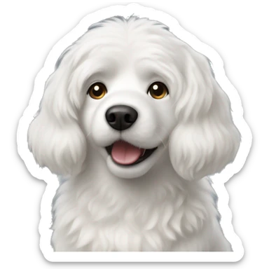 White dog Poddle  sticker