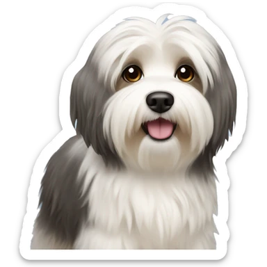 havanese dog  sticker