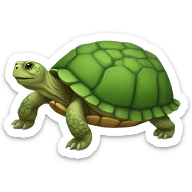 TORTOISE  sticker