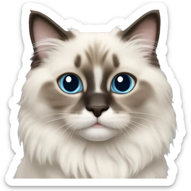 ragdoll kitten sticker
