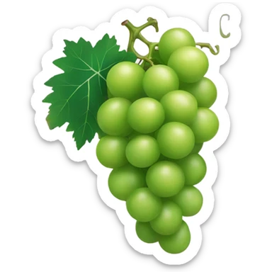 Green grapes sticker